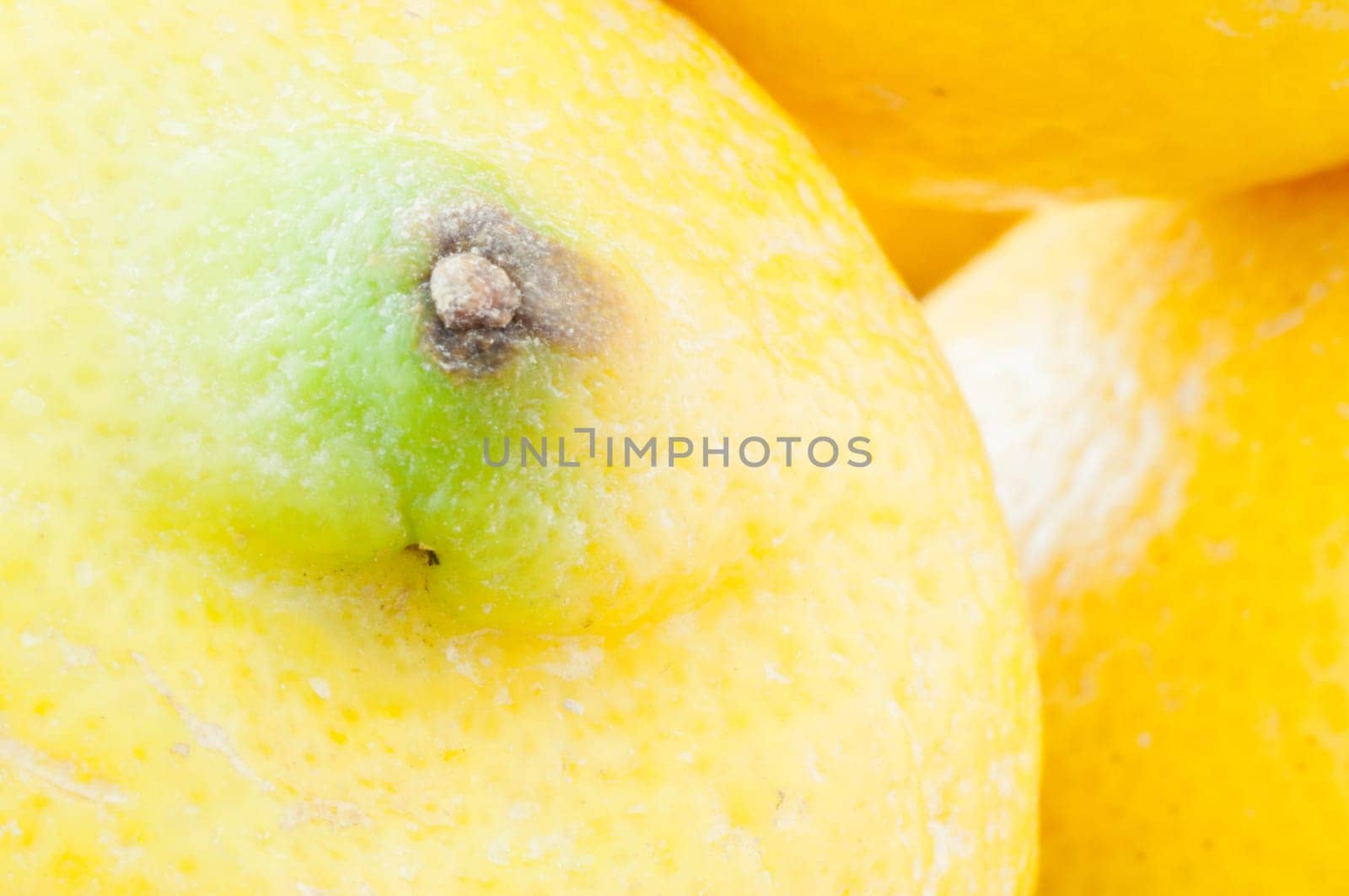 beautiful macro of natural lemon