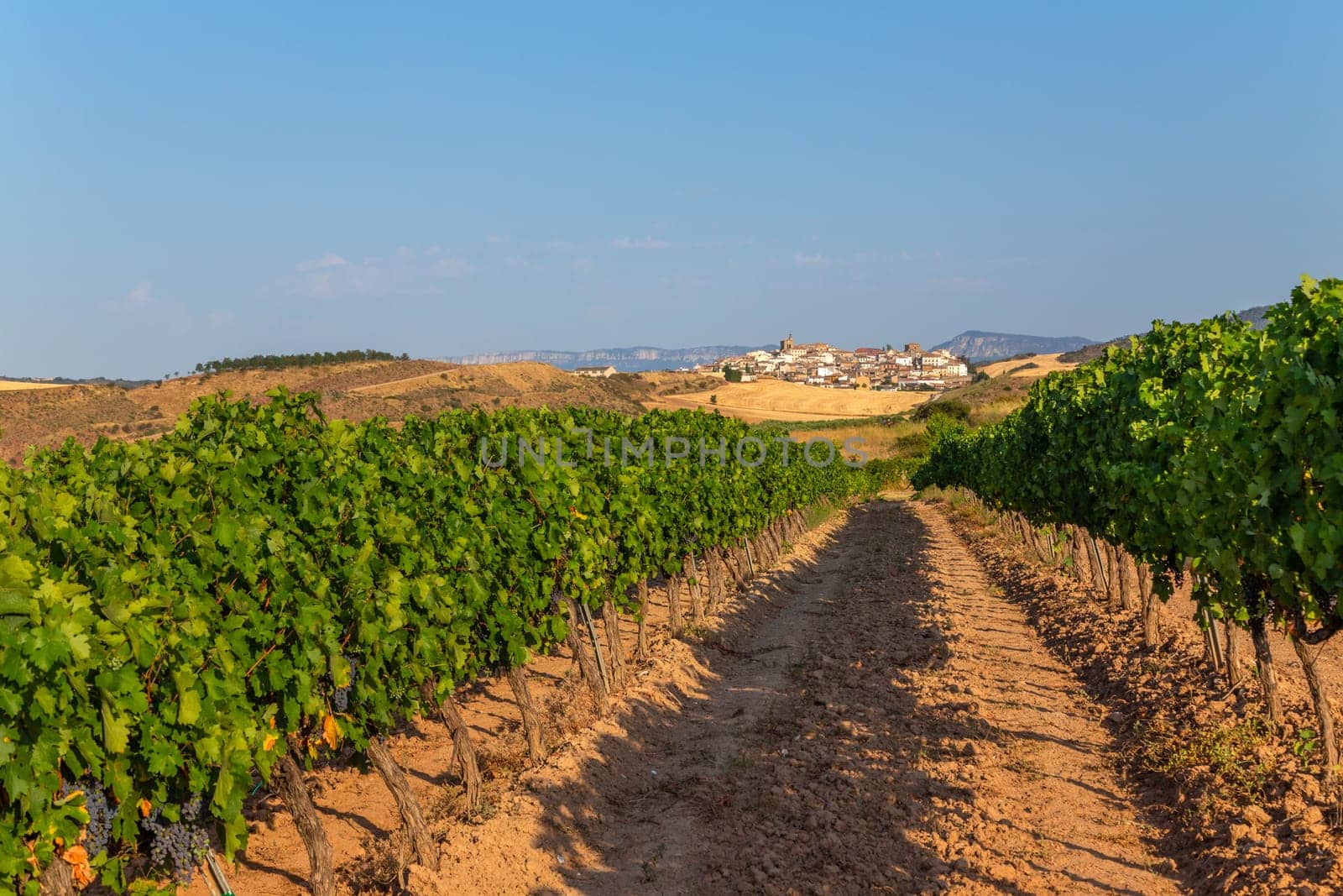 The Camino de Santiago also known as The Way leading towards little village of Cirauqui in the distance. Extremadura, Spain