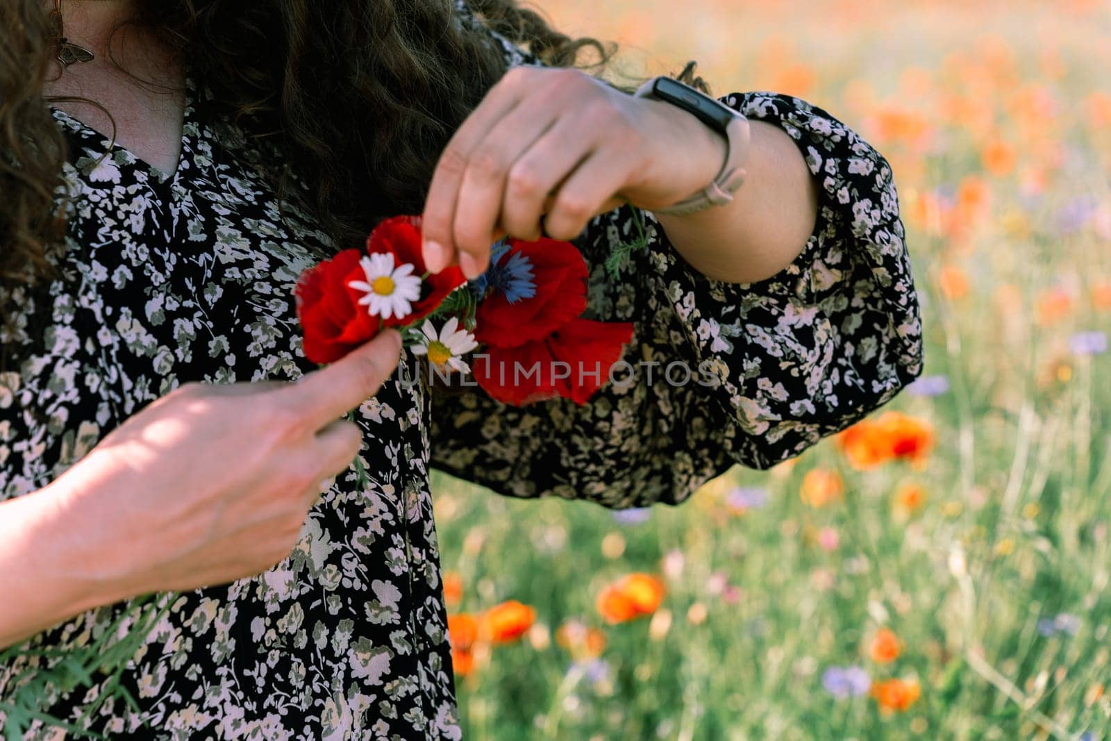 Close-up of women's hands weaving a wreath of poppies, daisies and cornflowers.