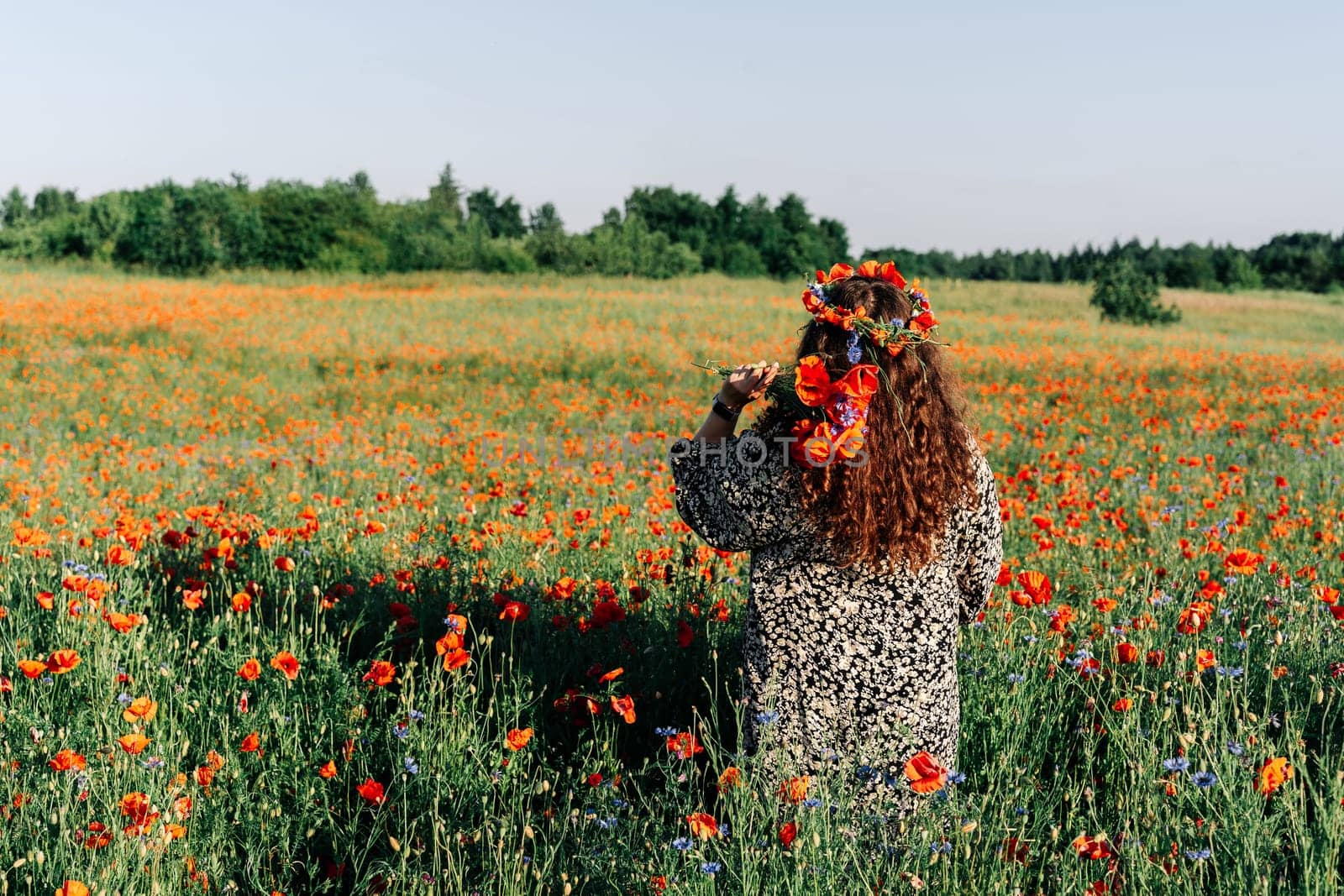 Plus, a woman with long curly hair in a dress stands among a flower poppy meadow in early summer in a wreath of red poppies and holds a bunch of poppies.