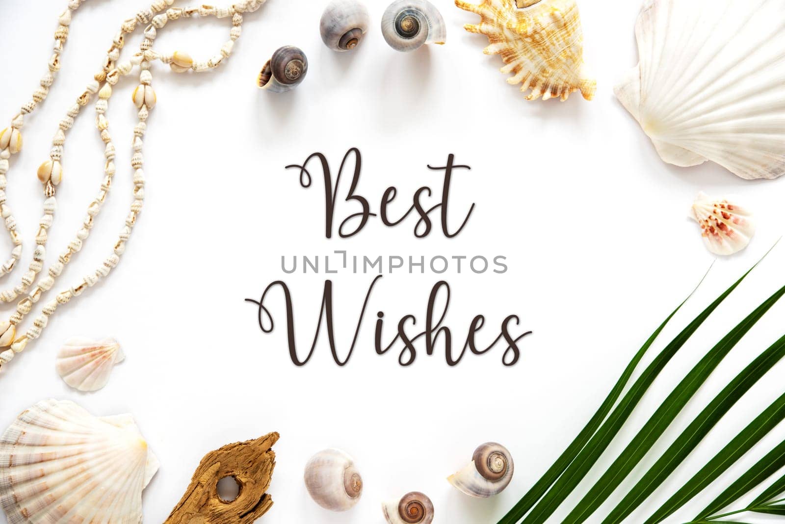 White Summer Flat Lay, Top View, Decorated With Shells and Plants, With English Text Best Wishes