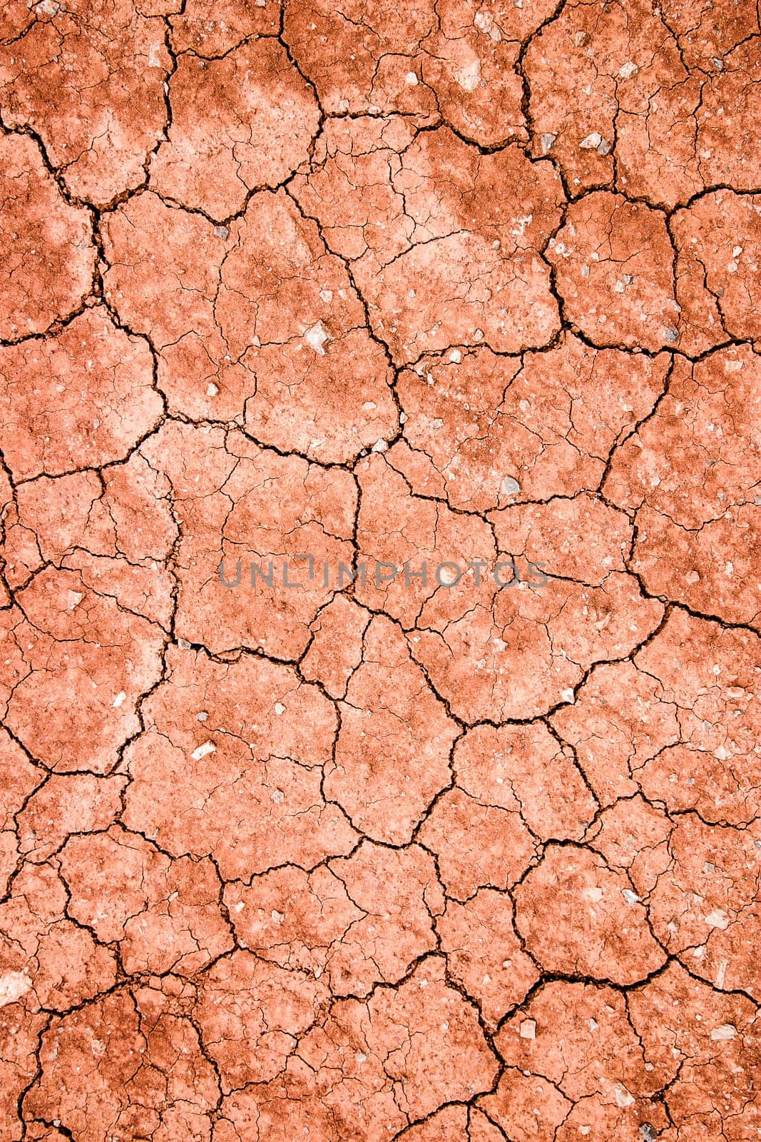 Cracked red ground. Visible cracks caused by hot weather and particular environment