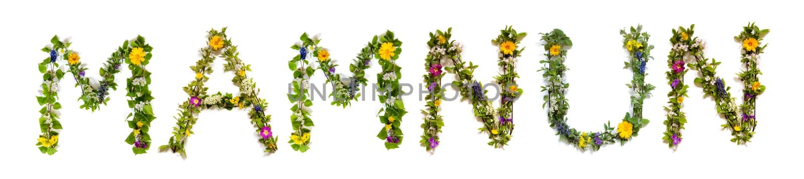 Colorful Flowers Building Persian Text Mamnun, Means Thank You in English, Some Green And Some Spring Flowers on Isolated White Background, Symbolic Meaning, Quote
