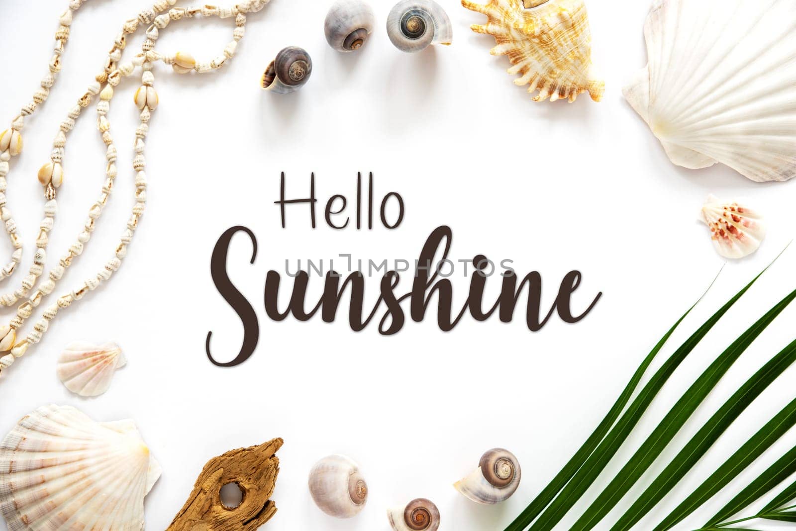 White Summer Flat Lay, Top View, Decorated With Shells and Plants, With English Text Hello Sunshine