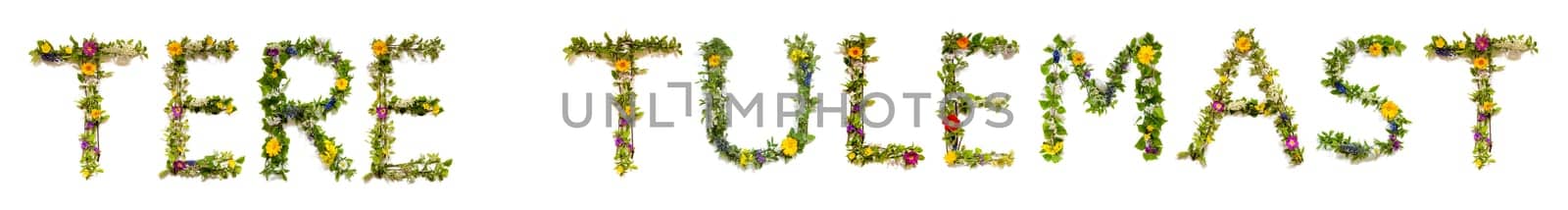 Colorful Flowers Building Estonian Text Tere Tulemast, Means Welcome in English, Some Green And Some Spring Flowers on Isolated White Background, Symbolic Meaning, Quote