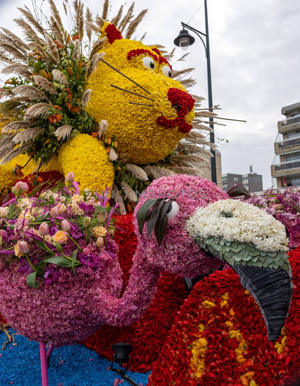 Noordwijk, Netherlands - April 22, 2023: Spectacular flower covered floats in the Bloemencorso Bollenstreek the annual spring flower parade from Noordwijk to Haarlem in the Netherlands.