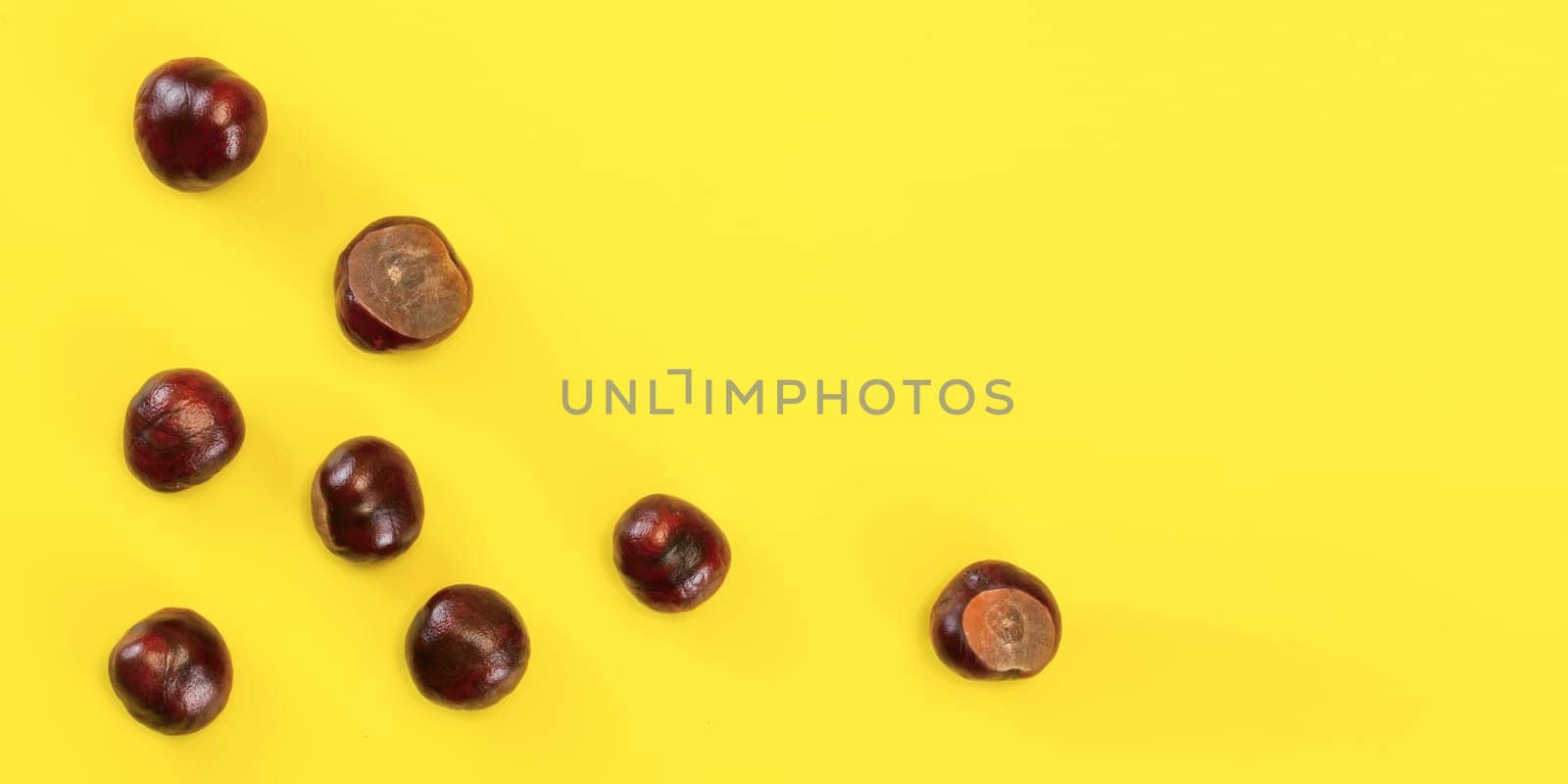 Table top view - horse chestnuts scattered on yellow board. Abstract autumn background with space for text on right.