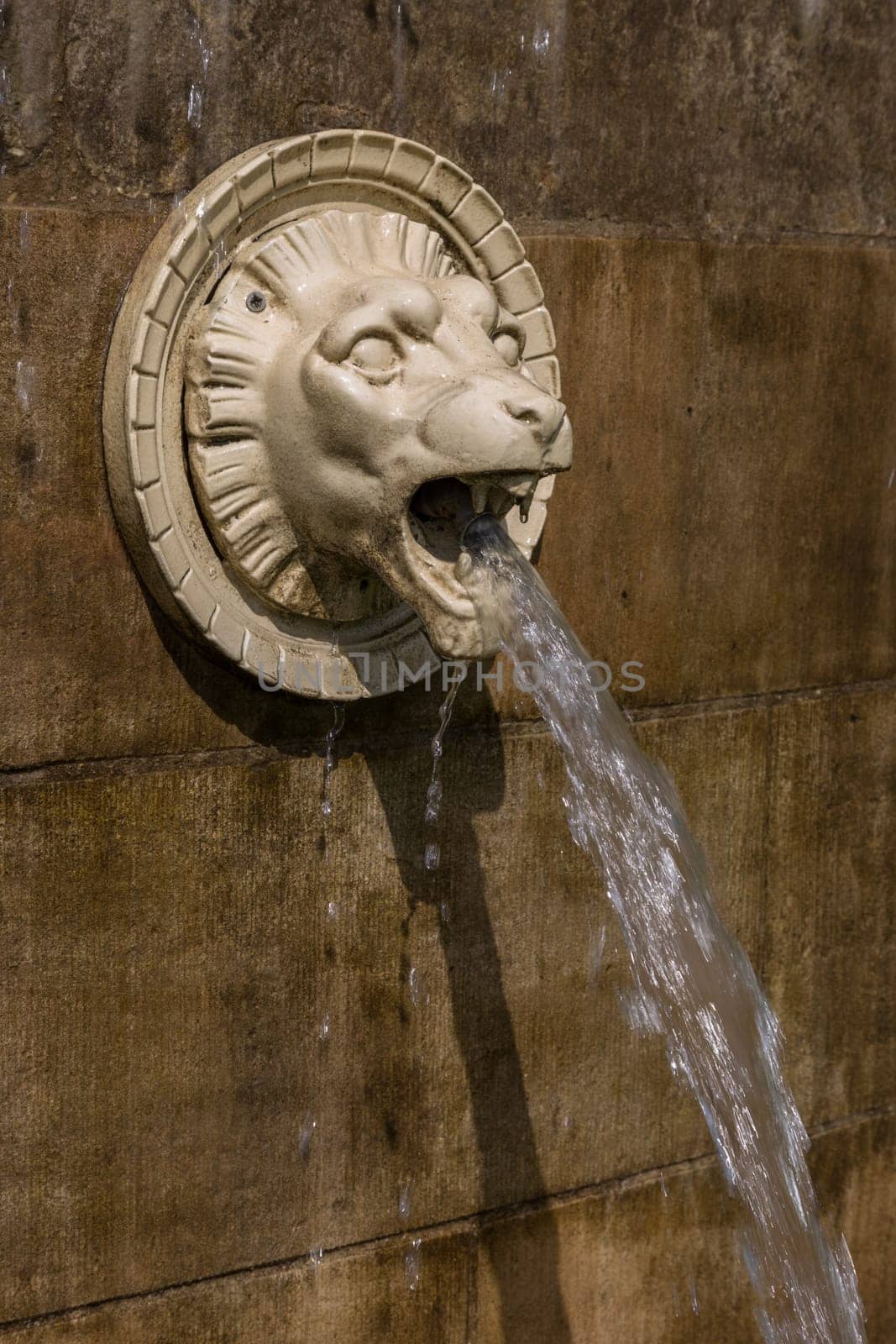 Head of a lion that serves as a gargoyle