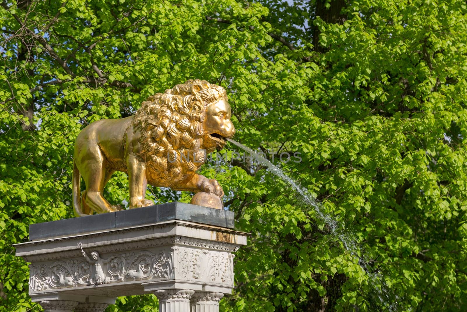 A golden lion as a gargoyle on a pedestal at the fountain