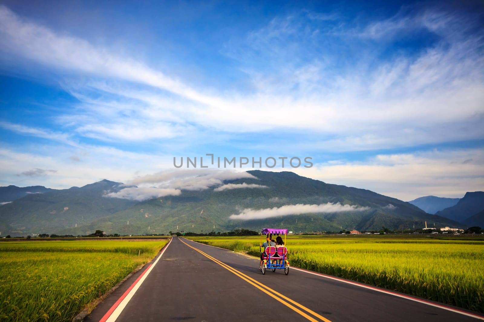 The beauty of the farmland in Taitung Taiwan for adv or others purpose use