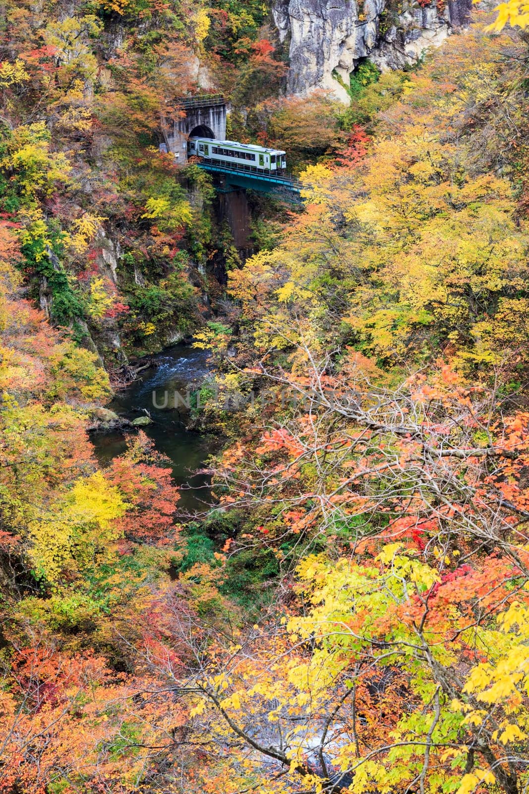 Autumn Colors of Naruko-Gorge in Japan for adv or others purpose use