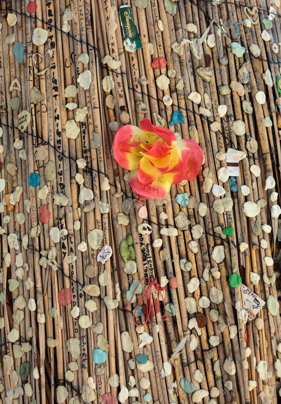 Paris - Fans stick chewing gums in the homage for Morrison on the tree close to his grave