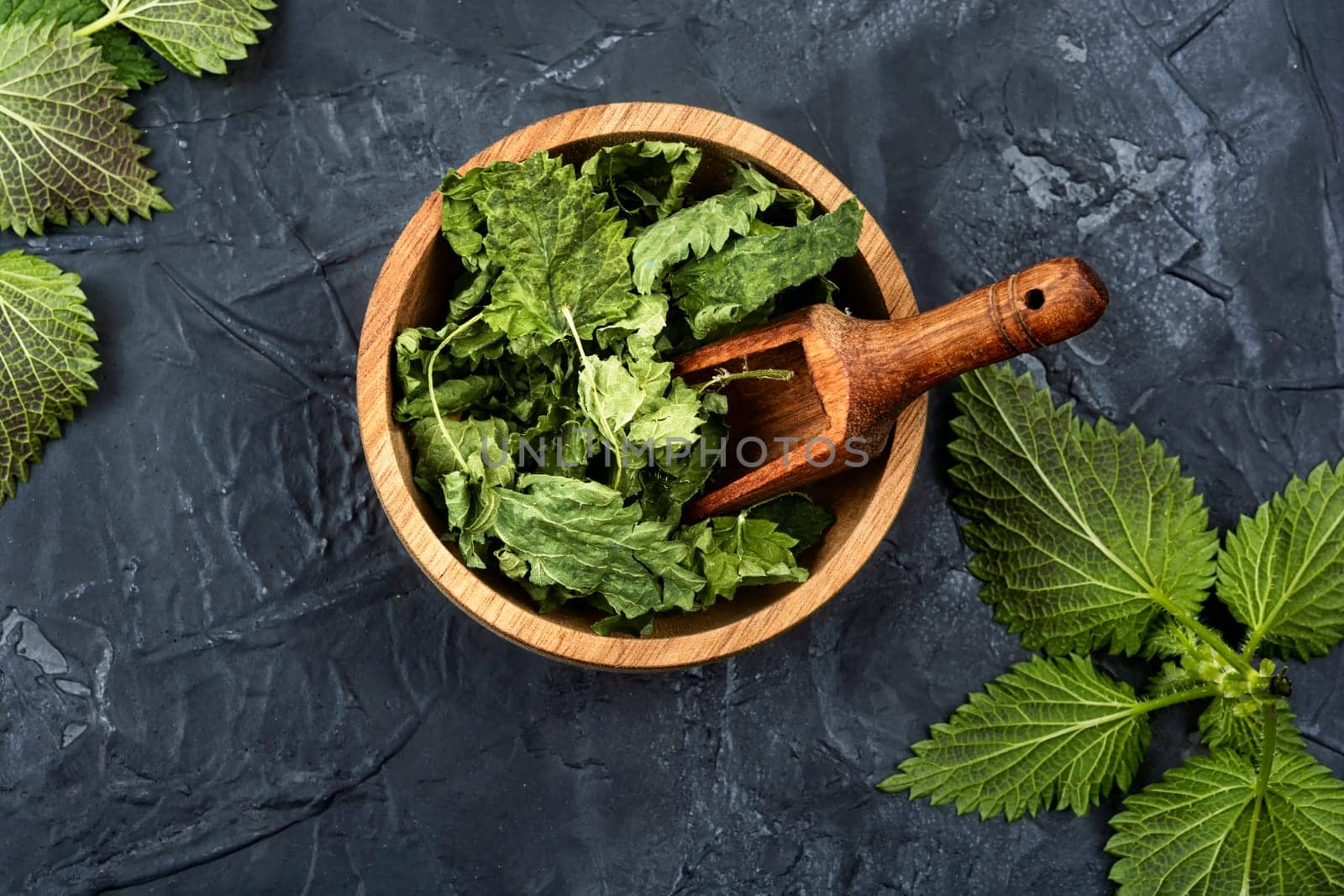 Fresh and dried nettle leaves in mortar with wooden spoon. Homeopathic herbs.