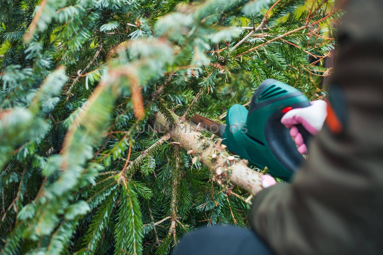 Gardening work in autumn and winter. Teenager is sawing old Christmas tree with electric saw and cutting branches .