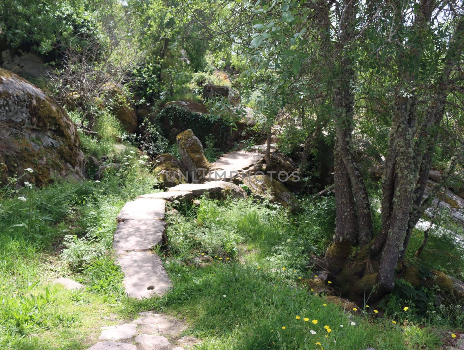 beautiful path path destination journey walk countryside