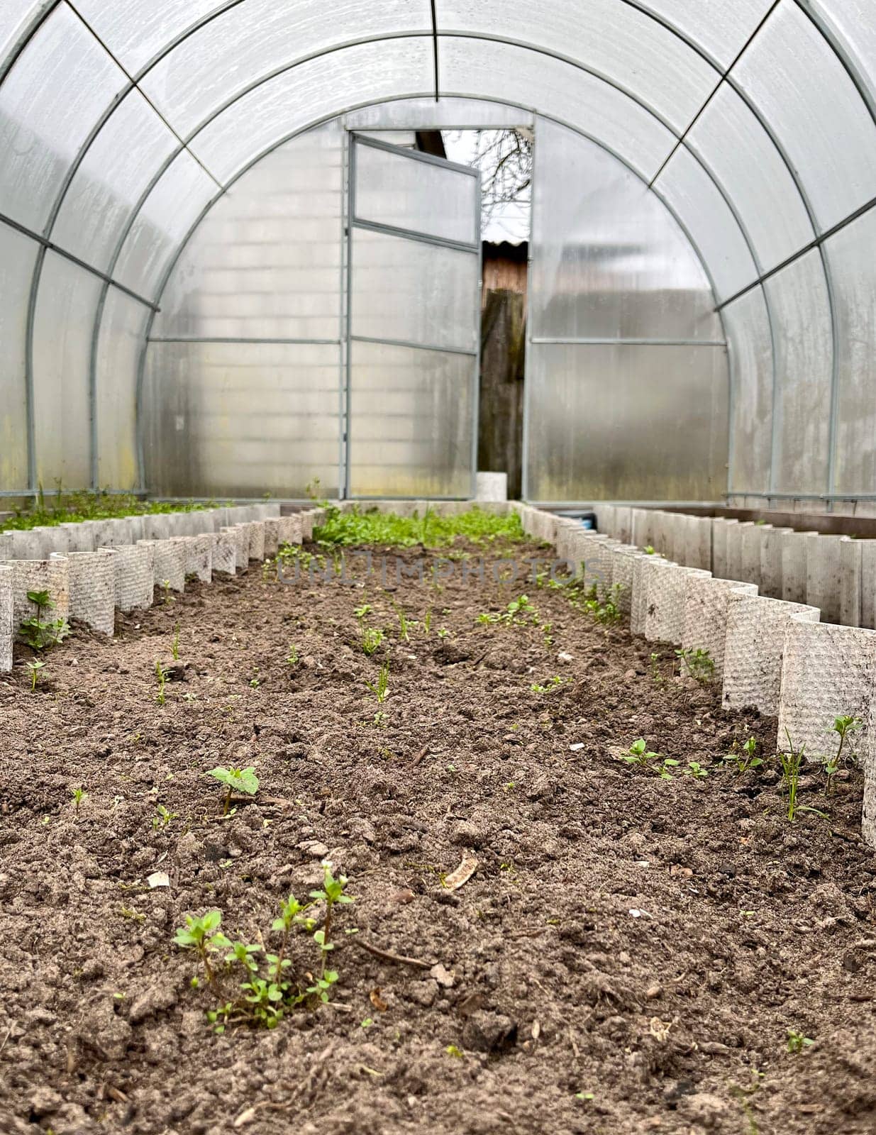 in early spring, the polycarbonate greenhouse is ready for use in the garden