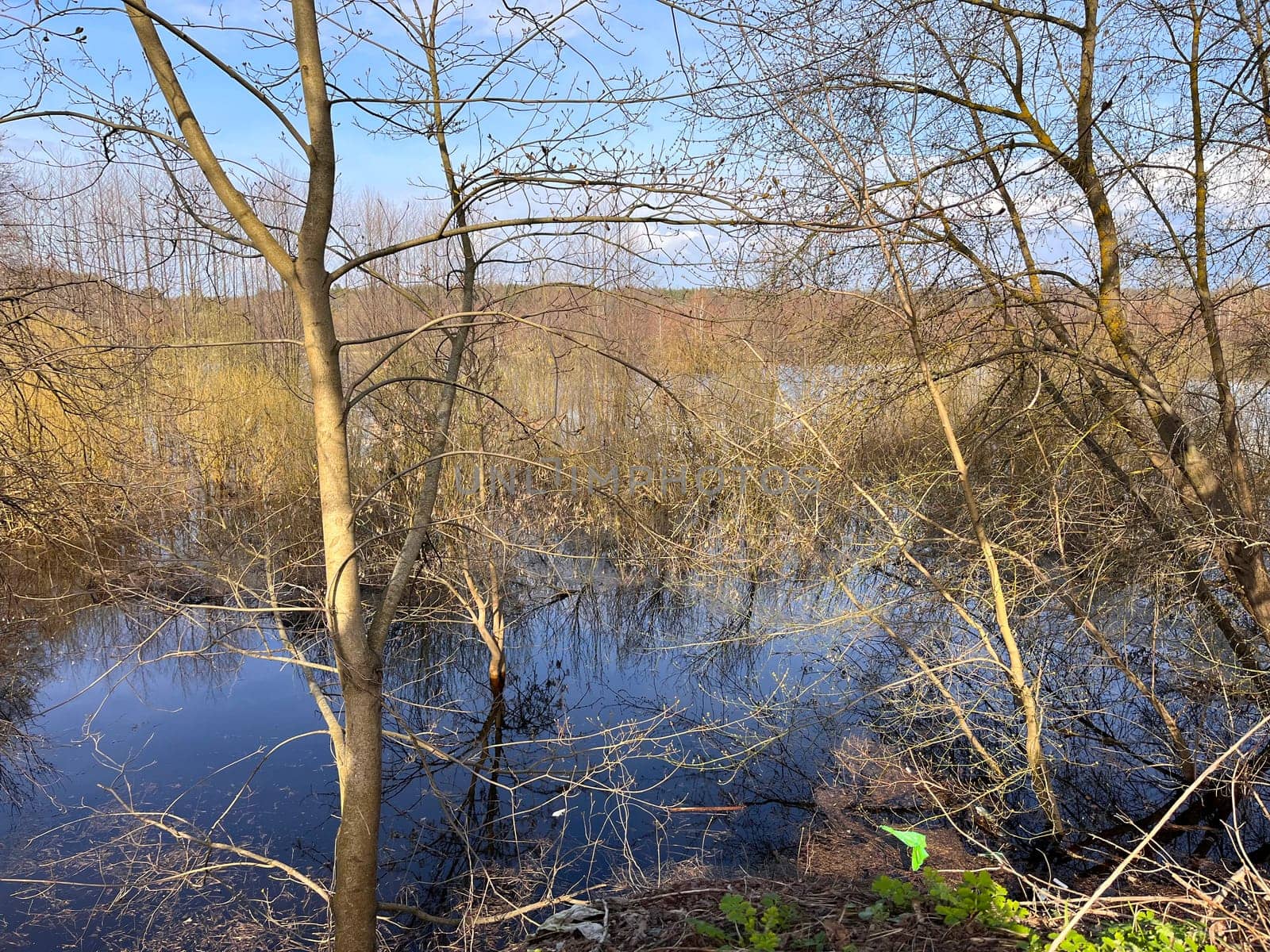 a magnificent landscape of flooding of the riverbed in spring in April, the first buds on the trees on the high bank