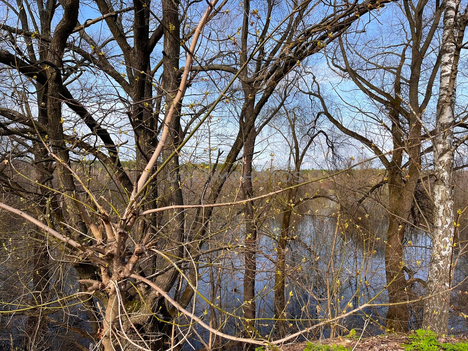 a magnificent landscape of flooding of the riverbed in spring in April, the first buds on the trees on the high bank