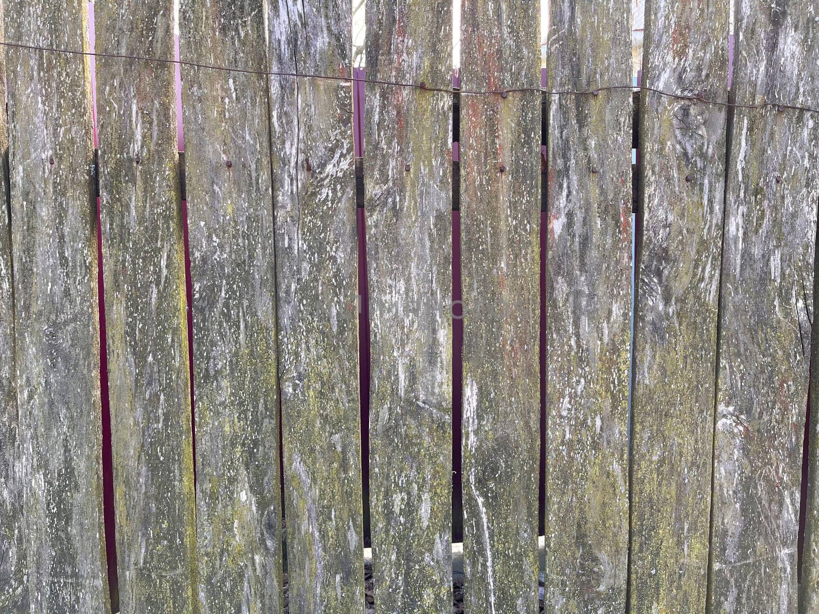 rustic wooden old unpainted wooden board fence