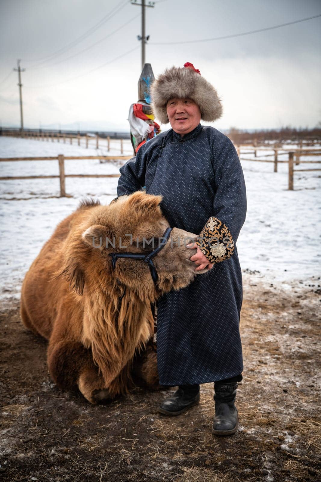 Naryn-Atsagat zone, near Oulan Oude (ulan ude), Siberia, Russia - Mars 09, 2020 : A Buryat man in a traditional costume with his camel.