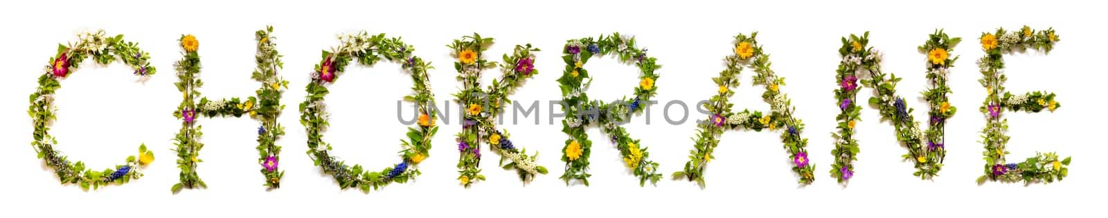 Colorful Flowers Building Arabic Text Chokrane, Means Thank You in English, Some Green And Some Spring Flowers on Isolated White Background, Symbolic Meaning, Quote
