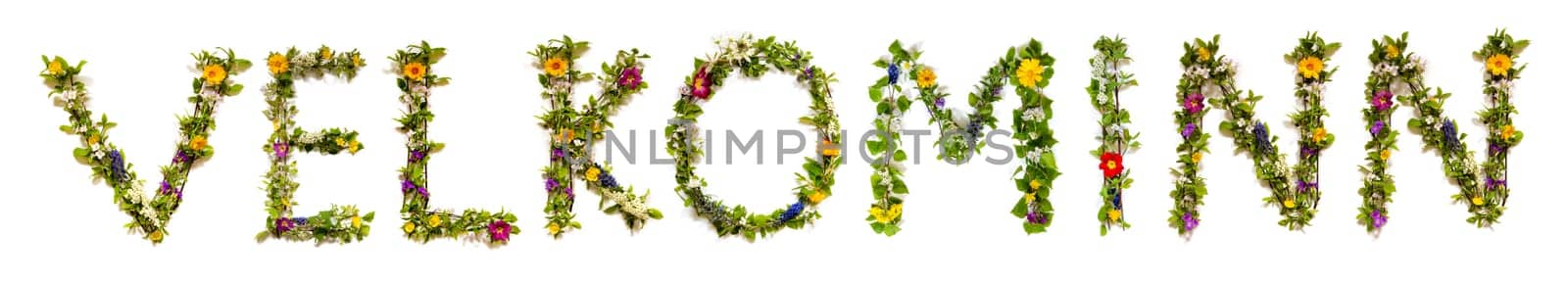 Colorful Flowers Building Icelandic Text Velkominn, Means Welcome in English, Some Green And Some Spring Flowers on Isolated White Background, Symbolic Meaning, Quote