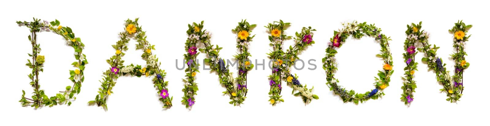 Colorful Flowers Building Esperanto Text Dankon, Means Thank You in English, Some Green And Some Spring Flowers on Isolated White Background, Symbolic Meaning, Quote