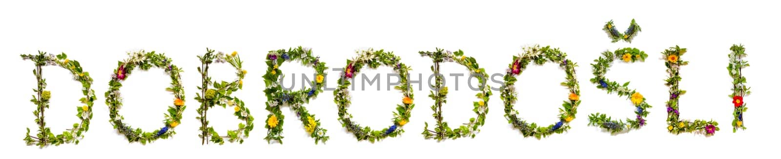 Colorful Flowers Building Croatian Text Dobrodosli, Means Thank You in English, Some Green And Some Spring Flowers on Isolated White Background, Symbolic Meaning, Quote