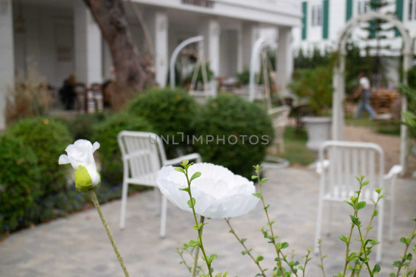 Street cafe with vintage furniture, stock photo