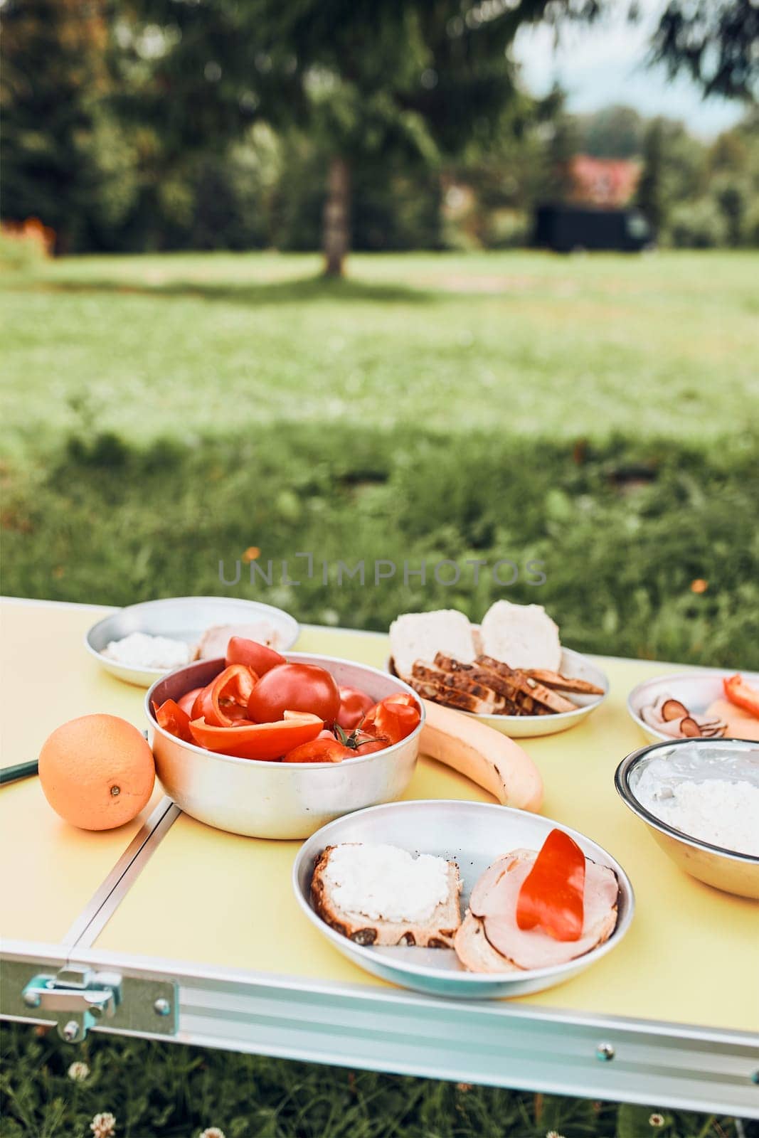 Breakfast prepared during summer vacation on camping. Bread, cottage cheese, cold meat, tomatoes, fruits and coffee cups on table. Close up of outdoor table setting set on grass