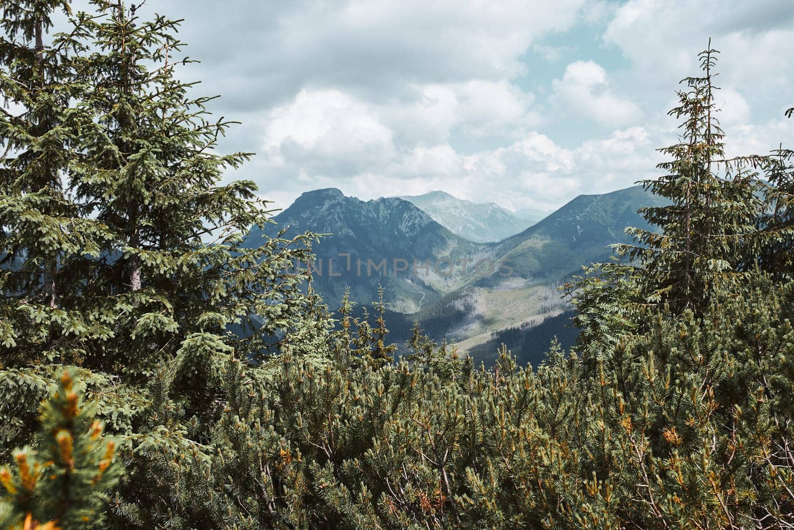 Tatra Mountains landscape. Scenic view of mountain rocky peaks, slopes, hills and valleys covered with grass, mugo pine and trees