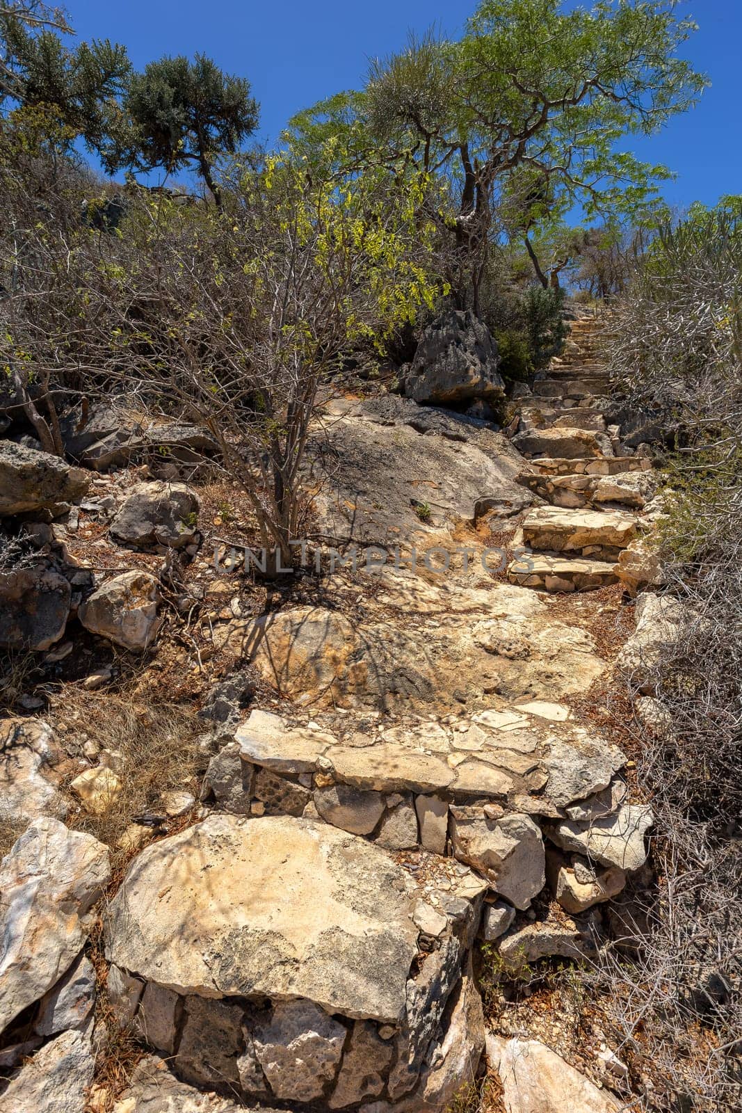 Tourist trail in Tsimanampetsotsa national park known as Tsimanampetsotsa Nature Reserve. South-west Madagascar wilderness landscape.