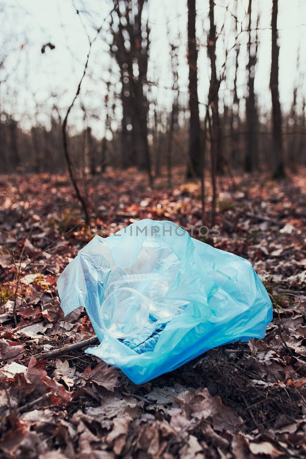 Plastic waste left in forest. Concept of plastic pollution and irresponsibility for environment. Environmental issue. Environmental damage. Real people, authentic situations