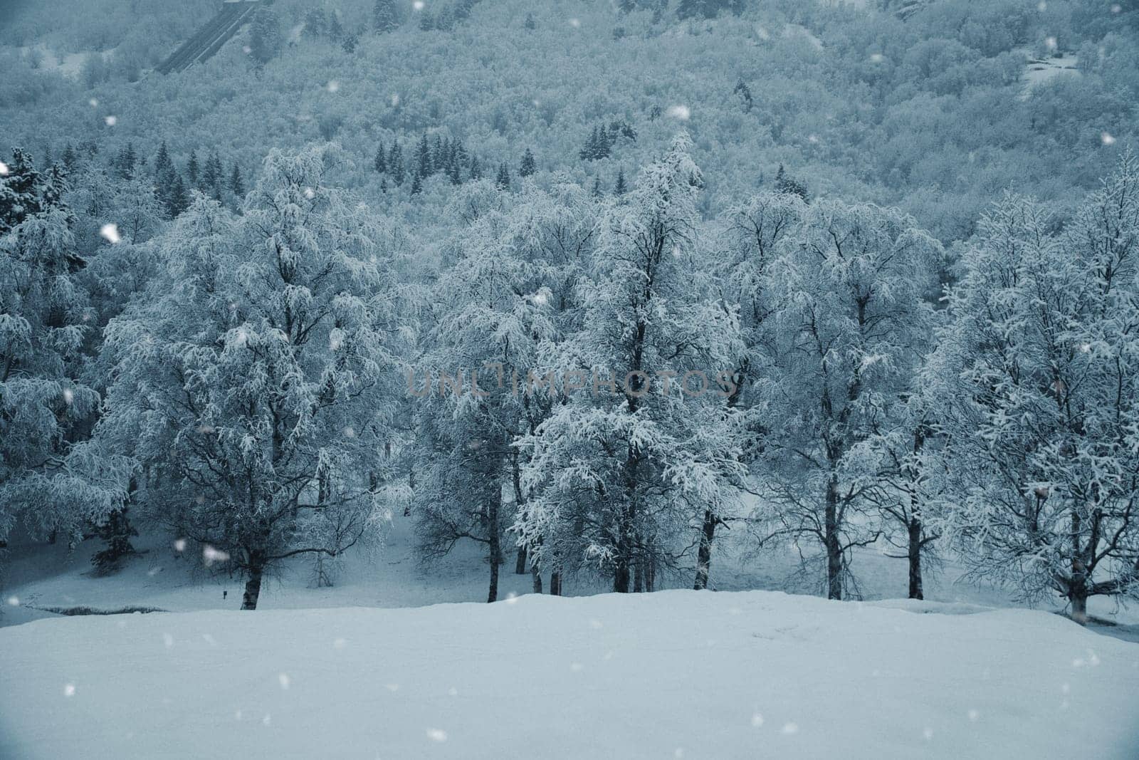Winter landscape in Scandinavia. With snow covered trees on a mountain. Landscape photo from the north