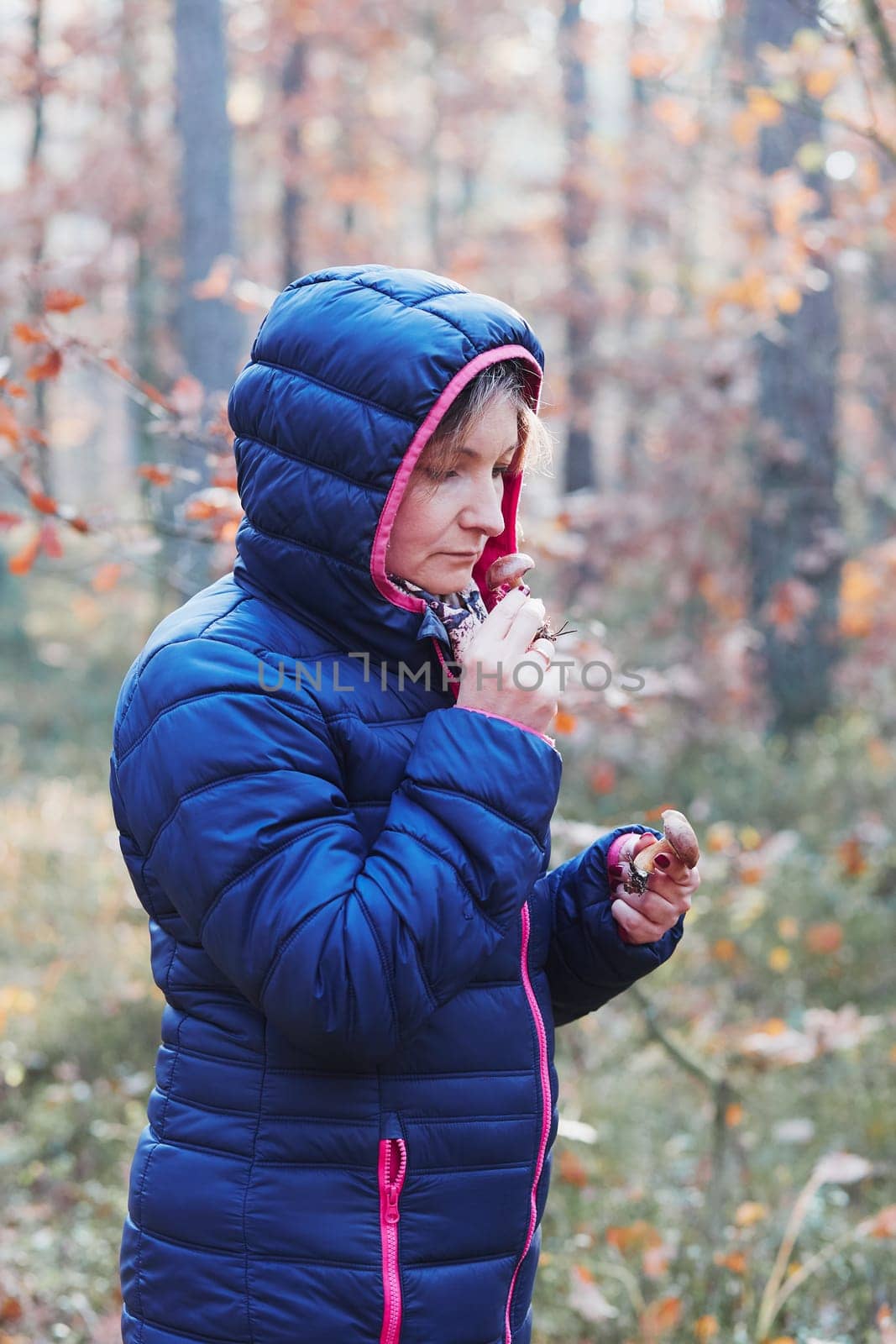 Woman smelling a mushroom picked in forest. Forest in autumn season. Colorful foliage on trees lit by morning sunlight. Natural nature forest landscape in autumn warm sunlight day. Real people, authentic situations