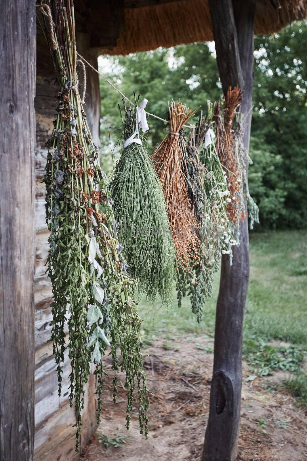 Some species of herbs are withering, hanging on a linen string outdoors at front of old cottage. Healing by the natural, organic treatment
