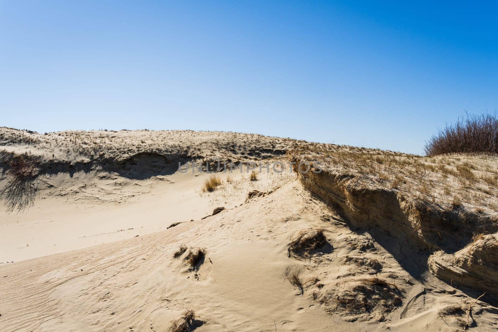 The Gray Dunes, or the Dead Dunes is sandy hills with a bit of green specks at the Lithuanian side of the Curonian Spit.