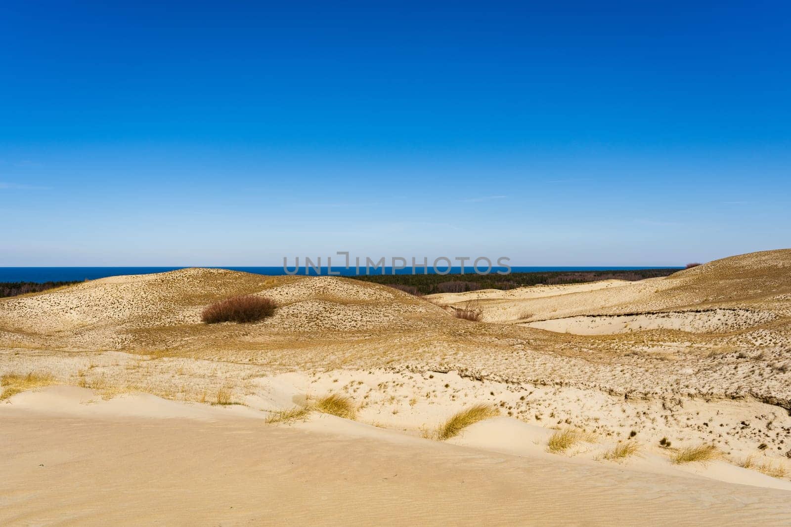 The Gray Dunes, or the Dead Dunes is sandy hills with a bit of green specks at the Lithuanian side of the Curonian Spit.
