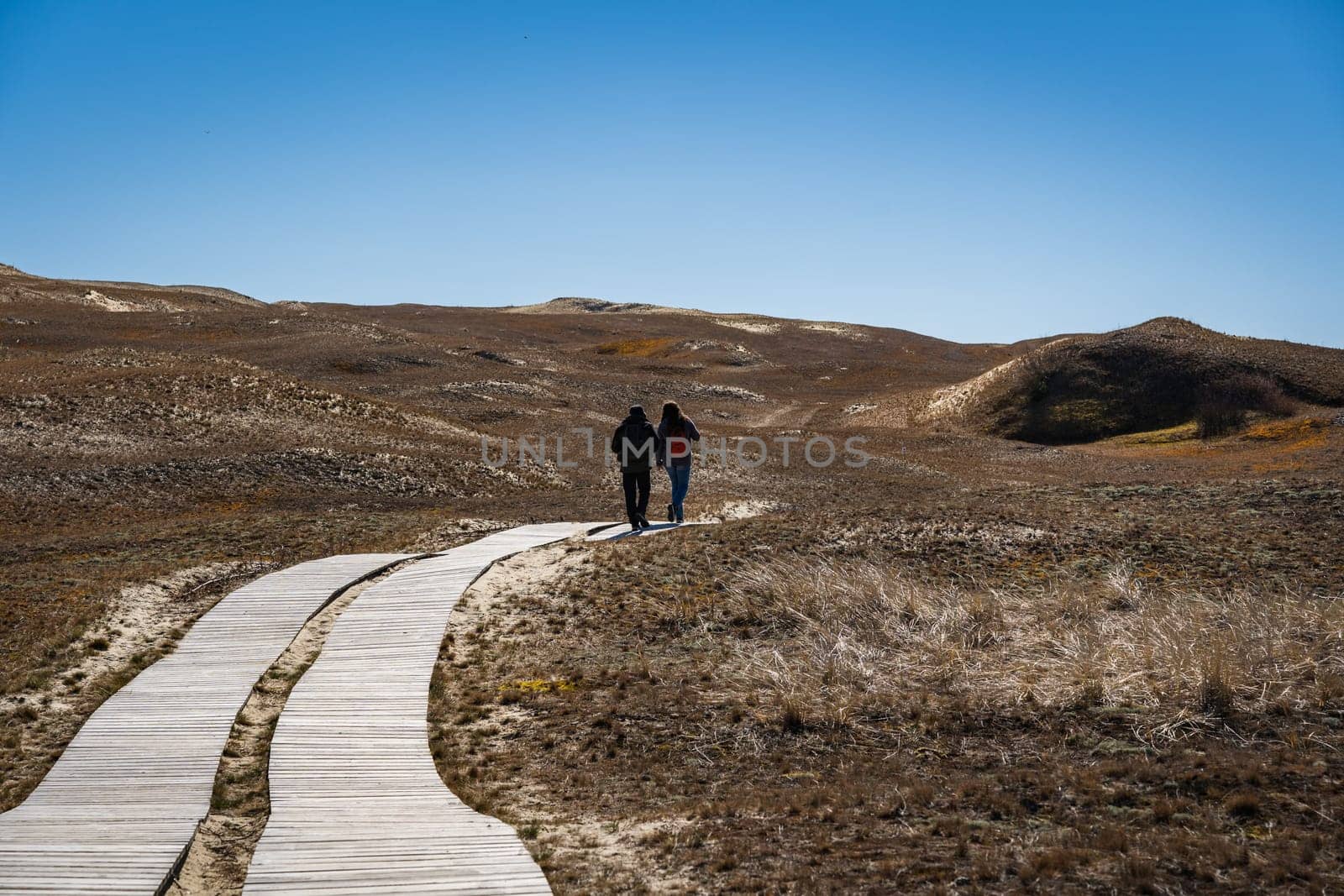 A couple in the distance walks along a wooden footpath on the Dead Dunes, or Grey Dunes, Curonian Spit, Neringa, Lithuania.