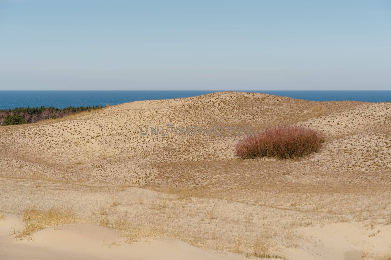The Gray Dunes, or the Dead Dunes is sandy hills with a bit of green specks at the Lithuanian side of the Curonian Spit.