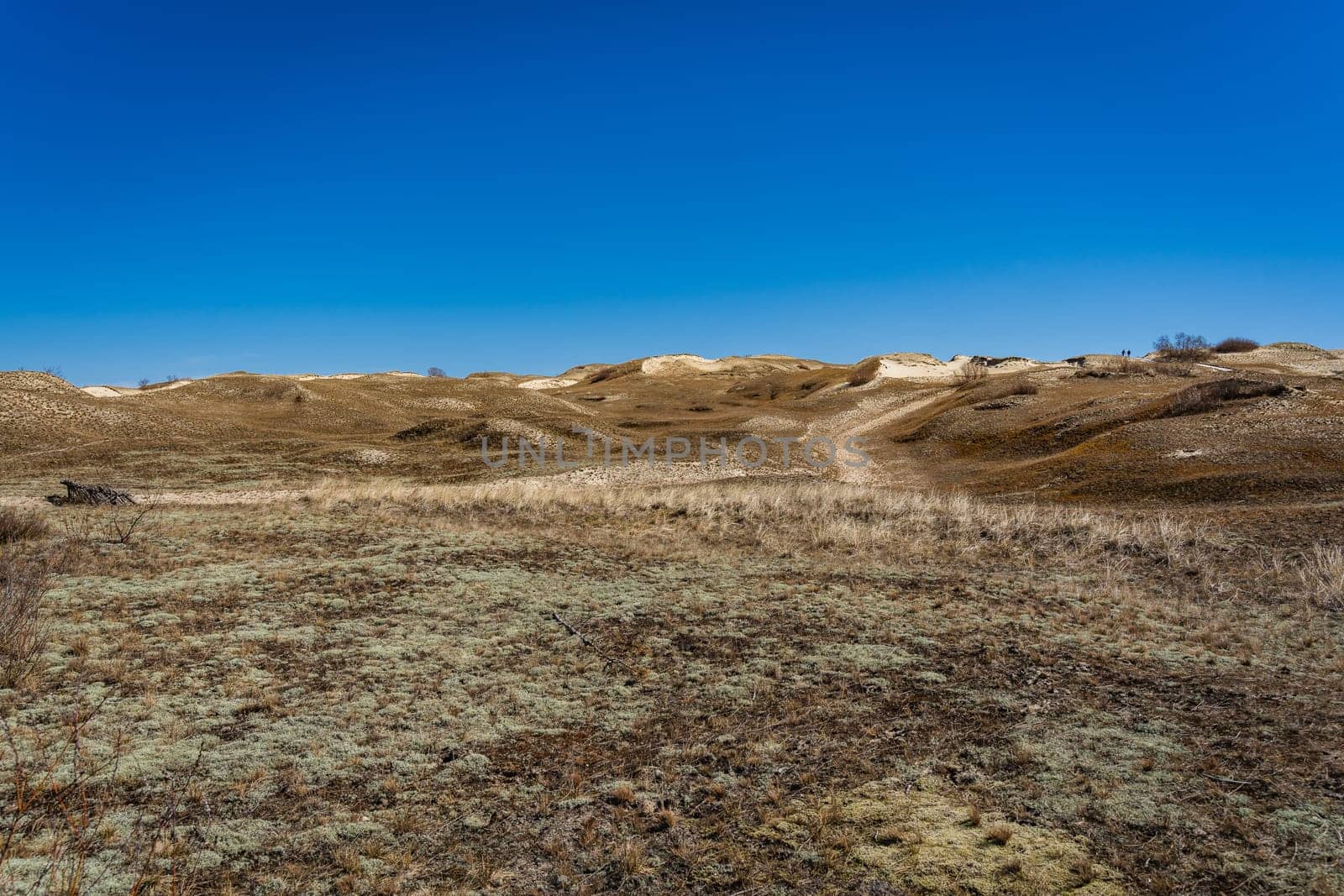 The Gray Dunes, or the Dead Dunes is sandy hills with a bit of green specks at the Lithuanian side of the Curonian Spit.