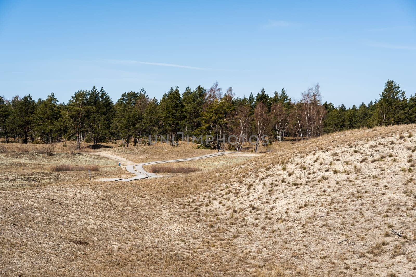 The Gray Dunes, or the Dead Dunes is sandy hills with a bit of green specks at the Lithuanian side of the Curonian Spit.