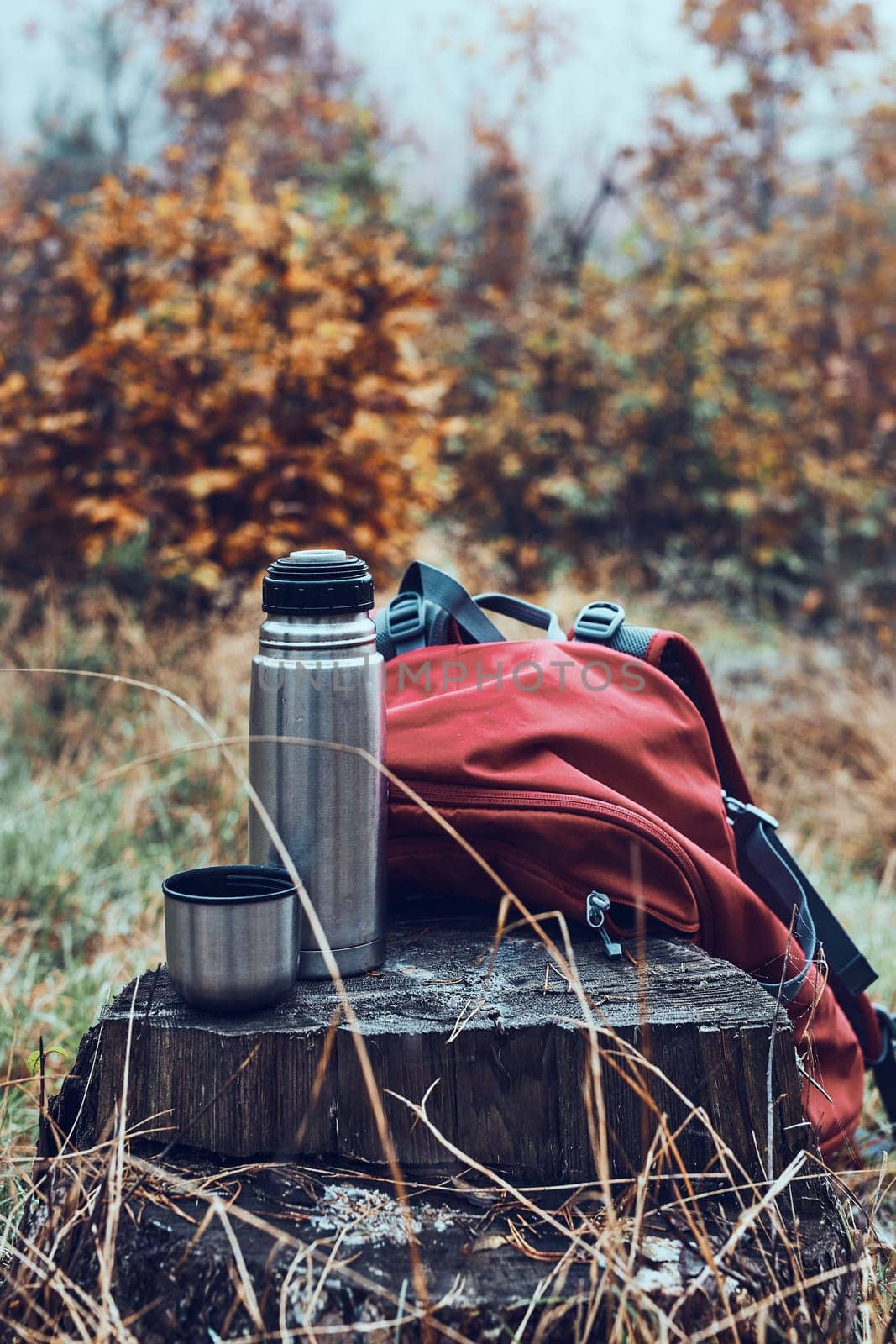 Close shot of thermos flask and backpack put by tree trunk while break during autumn trip on autumn cold day