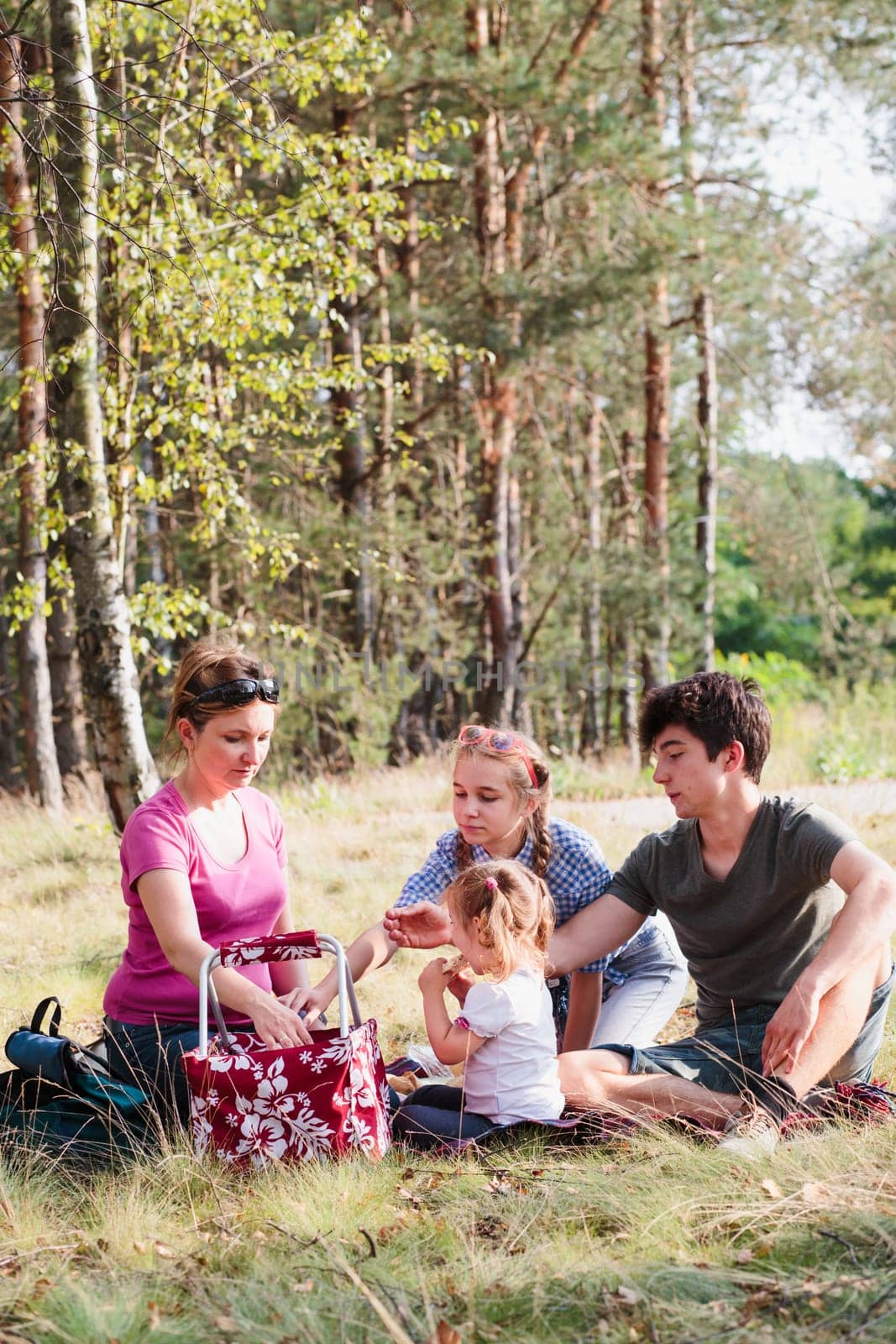 Family spending vacation time together having a snacks on a picnic sitting on blanket on grass in forest on sunny day in the summertime