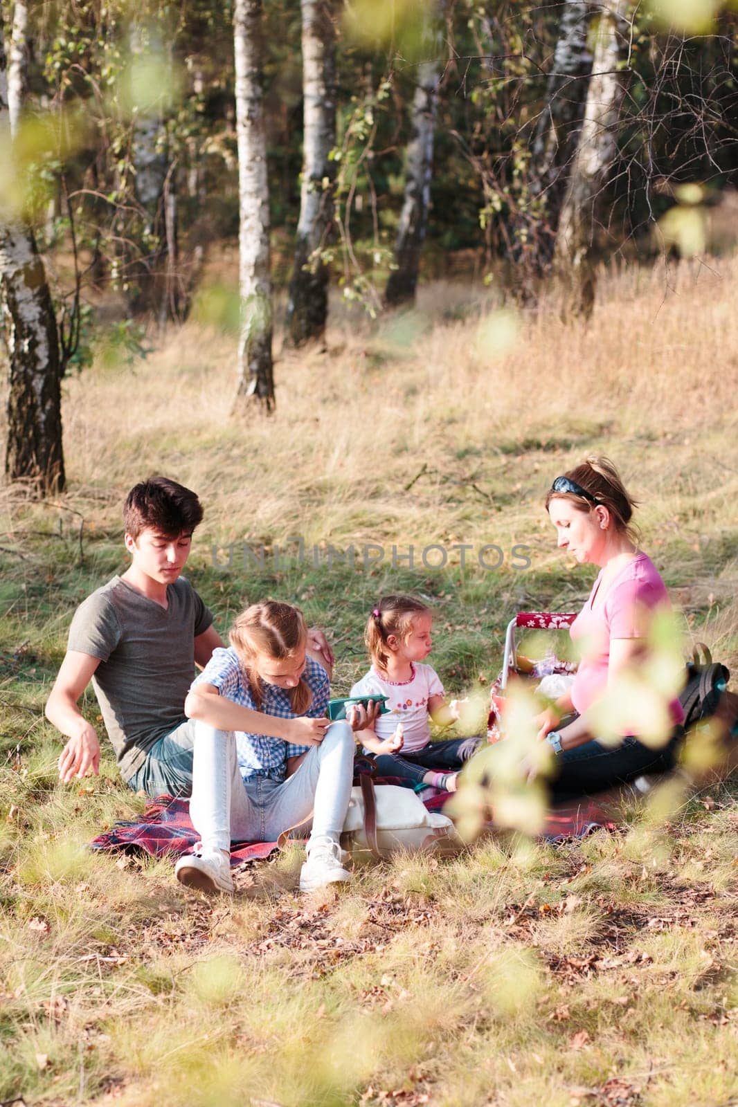 Family spending vacation time together having a snacks on a picnic sitting on blanket on grass in forest on sunny day in the summertime