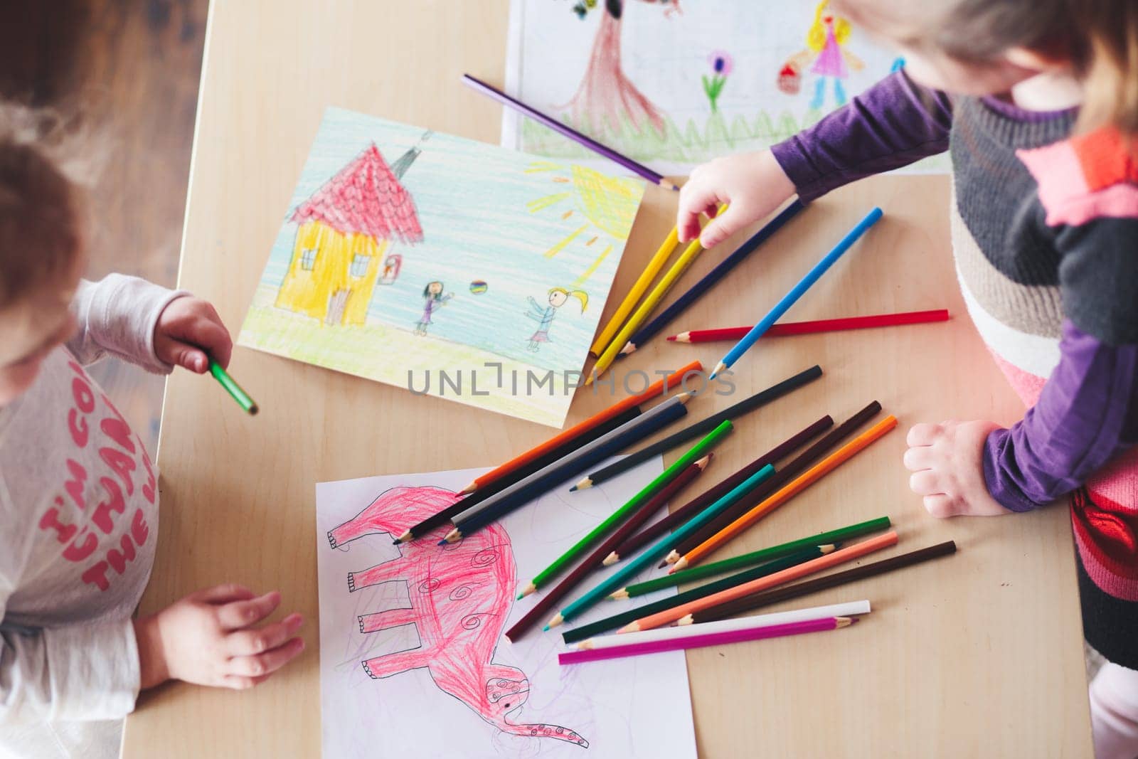 Little girls drawing a colorful pictures of elephant and playing children using pencil crayons standing at table indoors. Shot from above
