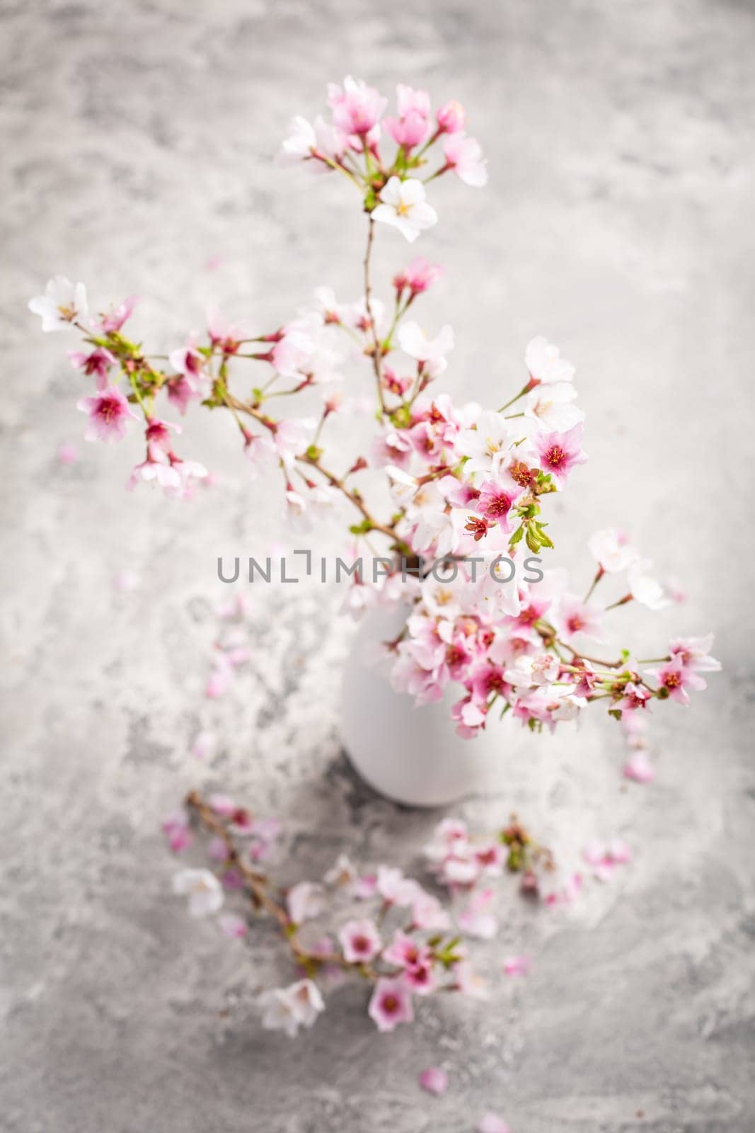 Spring feeling - cherry blossom branch on kitchen table