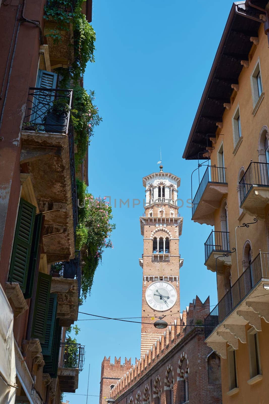 VERONA, ITALY - JULY 11