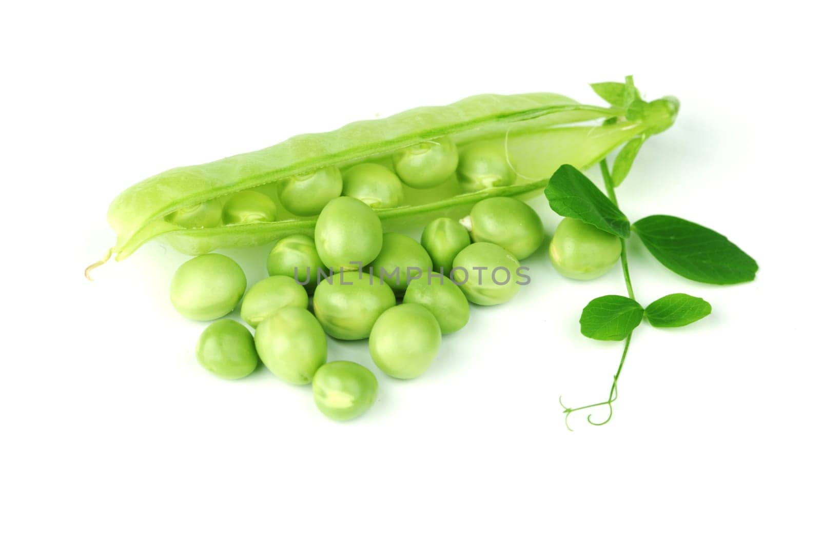 Pea and leaf isolated on white