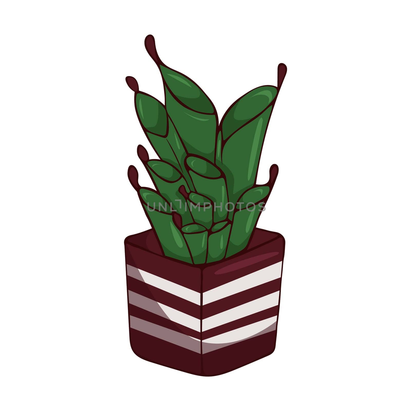 Hand drawn cute summer illustration of growing heliamphora in pot.Flat vector home plant Isolated on white background